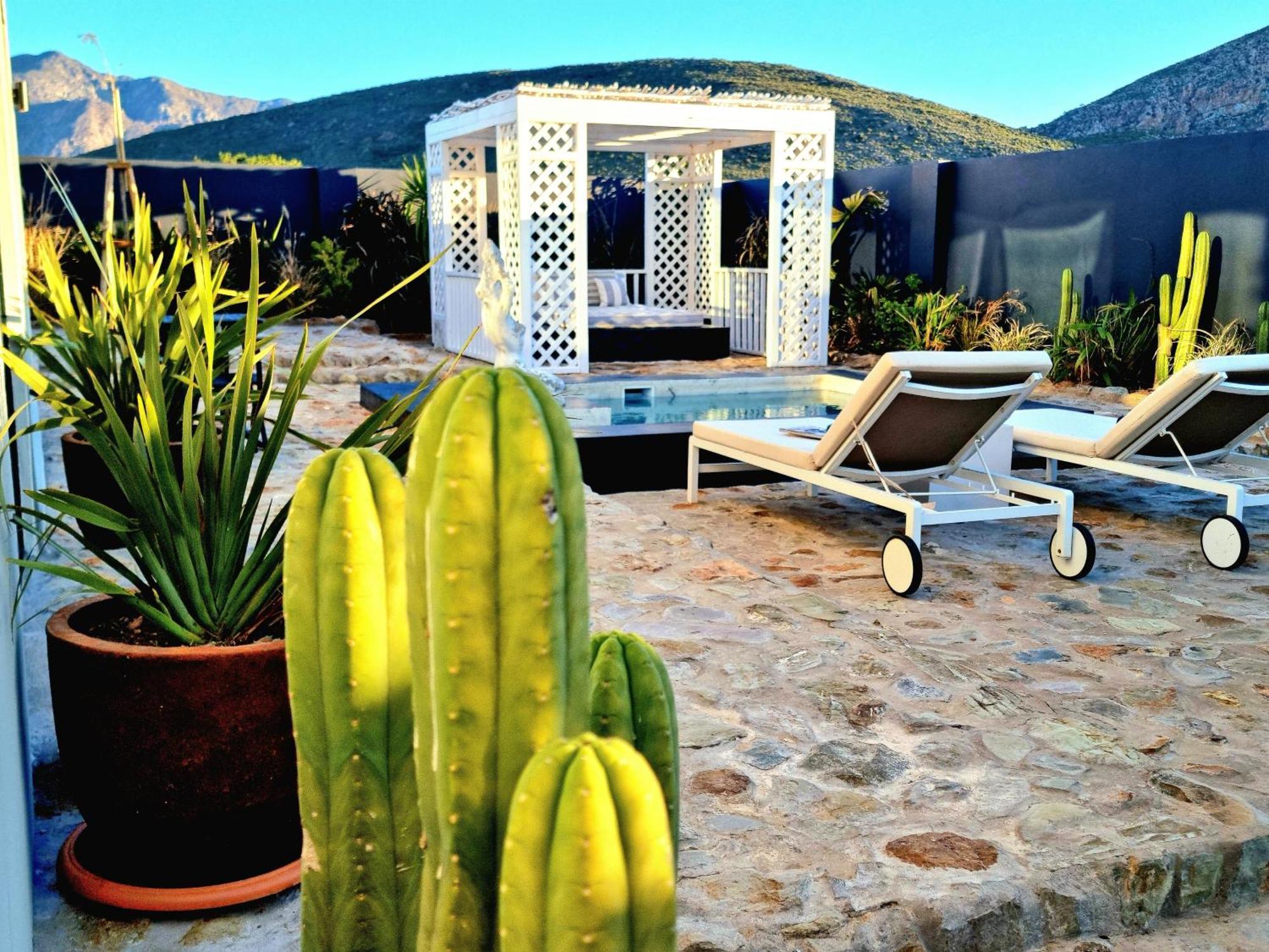 Pjure Boutique Hotel & Spa Montagu Bilik gambar