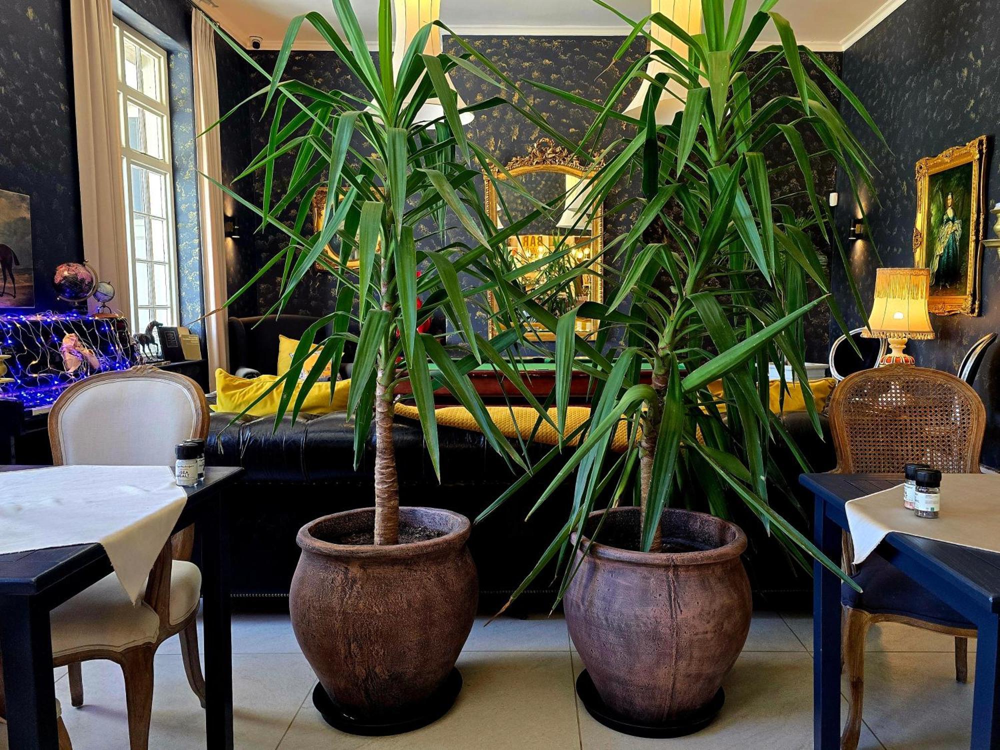Pjure Boutique Hotel & Spa Montagu Luaran gambar